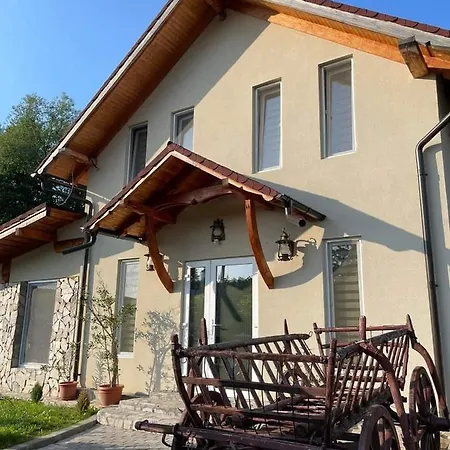 Guest house Pensiunea Casa Amy *