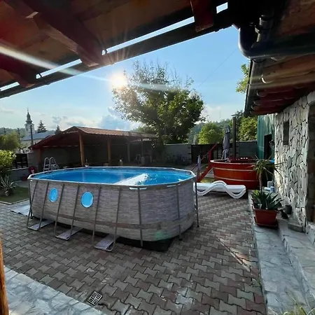 Guest house Pensiunea Casa Amy *