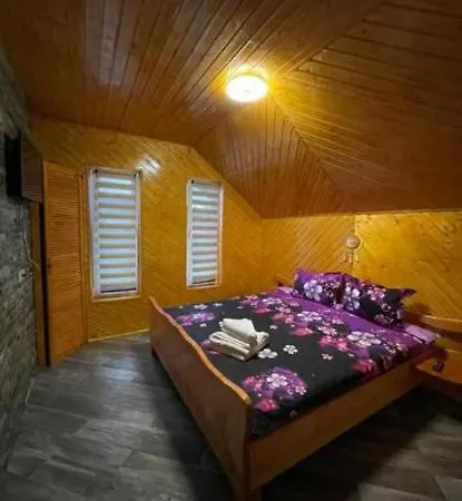 Pensiunea Casa Amy Guest house