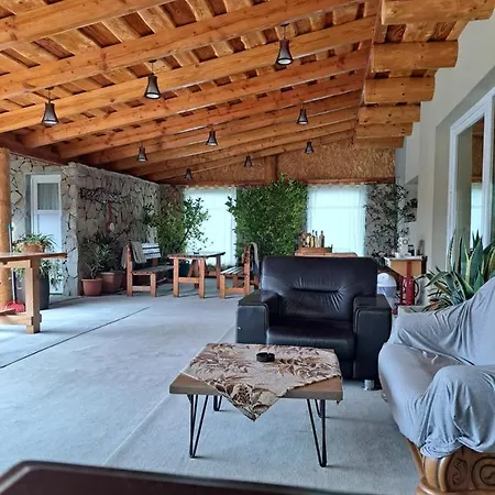 Pensiunea Casa Amy Guest house