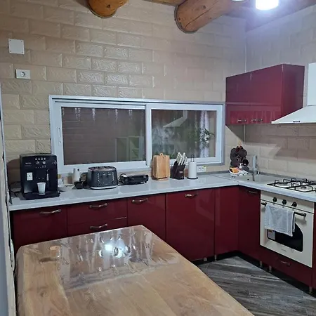 Guest house Pensiunea Casa Amy *