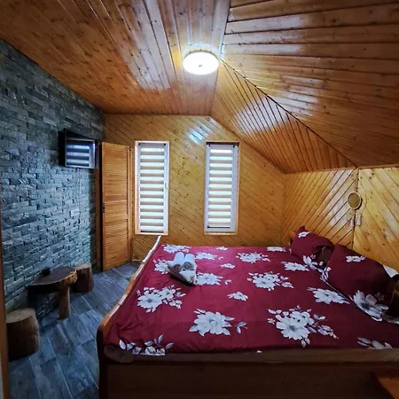 Pensiunea Casa Amy Guest house