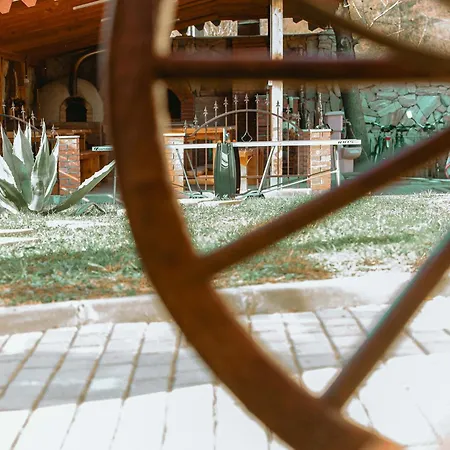 Guest house Pensiunea Casa Amy *