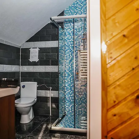Guest house Pensiunea Casa Amy Gladna Romana